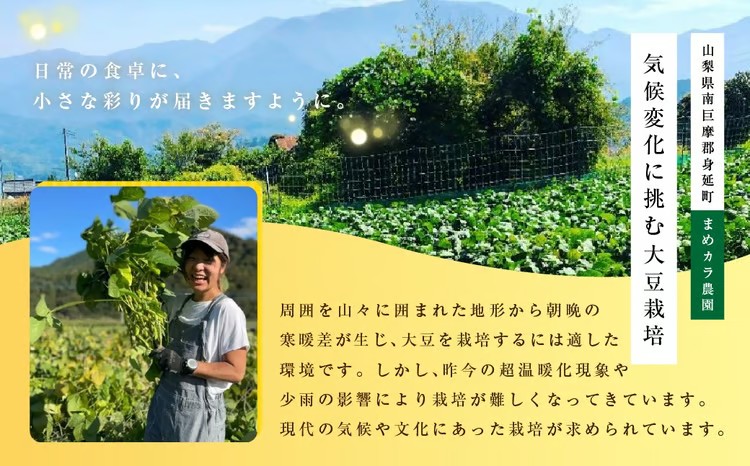 あけぼの大豆の枝豆 約1kg （ 約250g × 4袋 ） 枝豆 あけぼの大豆 GI 大粒 手摘み 冷蔵 新鮮 野菜 【 2026年10月中発送予定 】