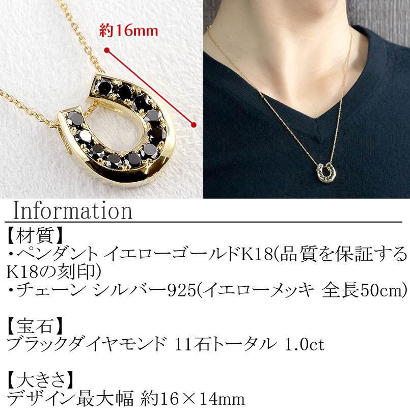 18金 ペンダントトップ 馬蹄 ブラックダイヤモンド 1.0ct ネックレス ホースシュー ブラックダイヤ 蹄鉄 シンプル ジュエリー 山梨県 管理番号230227102bkym SWAA095