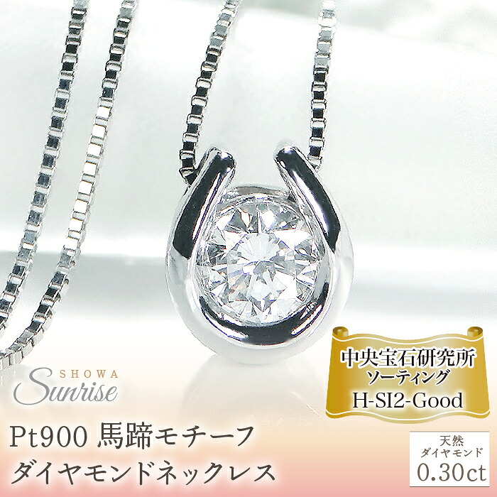 Pt900 【0.30ct】 馬蹄モチーフ Hカラー ダイヤモンドネックレス CSN00191-pt SWAV044