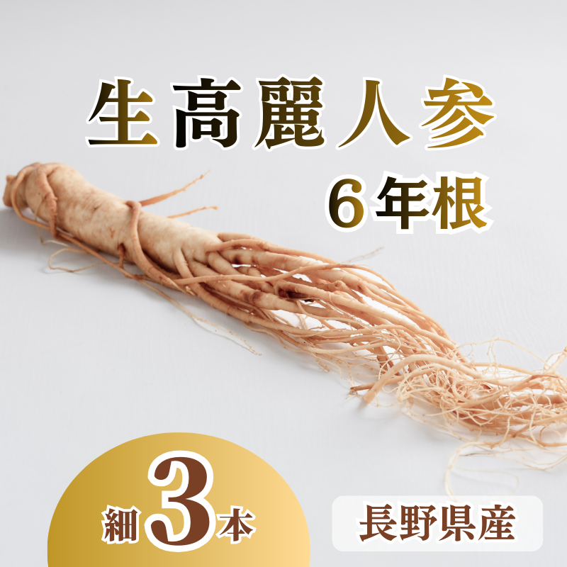 生高麗人参 6年根 細 3本 高麗人参 生 六年生 健康食品 健康 疲労回復 血行 改善 食品 美容 特産 薬膳 高麗人参酒 人参 調理 長野 信州