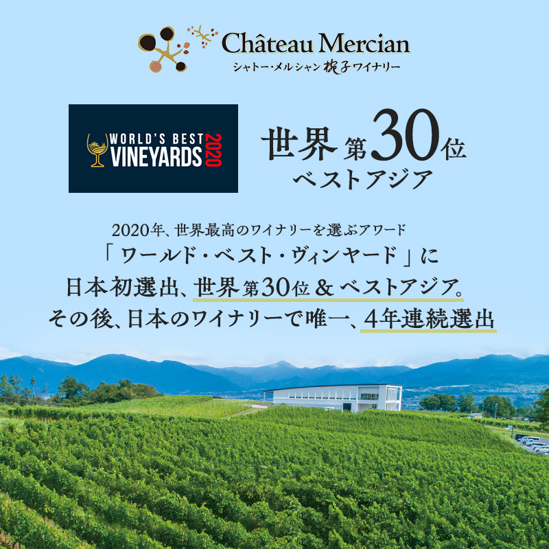 赤ワイン 飲み比べセット 750ml 2本セット 椀子オムニス 椀子 ギフト シャトーメルシャン椀子ワイナリー シャトーメルシャン ワイン お酒 酒 アルコール 家飲み 宅飲み お祝い 記念日 飲み比