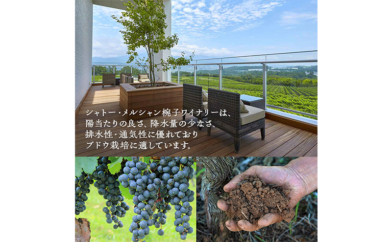 赤ワイン 飲み比べセット 750ml 2本セット 椀子オムニス 椀子 ギフト シャトーメルシャン椀子ワイナリー シャトーメルシャン ワイン お酒 酒 アルコール 家飲み 宅飲み お祝い 記念日 飲み比