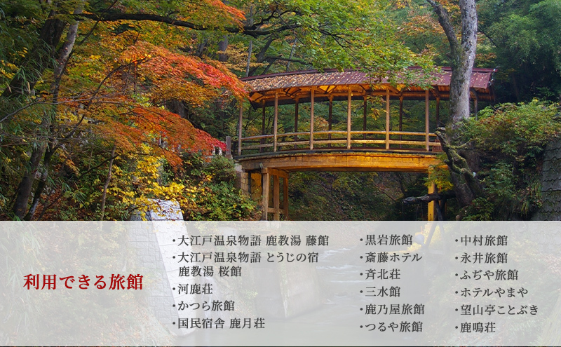 旅行 長野 信州 鹿教湯温泉 宿泊 補助券 5枚セット 15,000円 温泉 旅館 旅行券 宿泊券 施設利用券 利用券 トラベル チケット ホテル券 ホテルクーポン ホテル 長野県