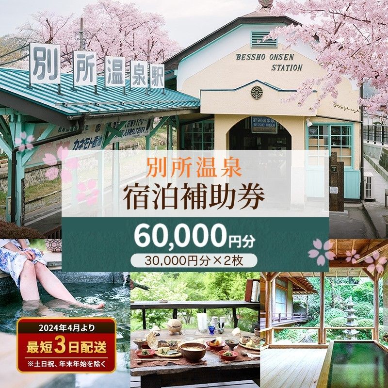 宿泊券 長野 別所温泉 60000円 券 チケット