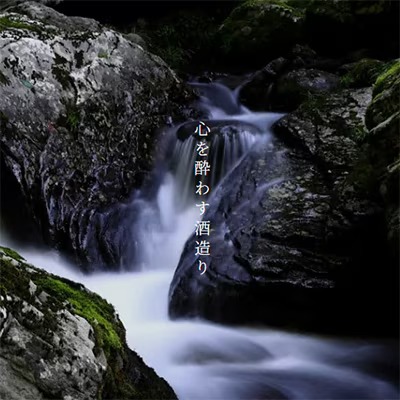千代菊 純米料理酒セット 720ml×2本