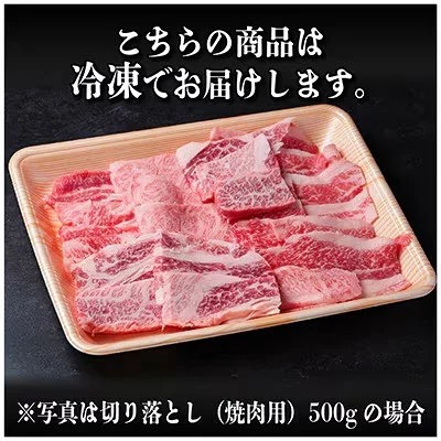 【訳あり】飛騨牛 切り落とし(焼肉用) 500g