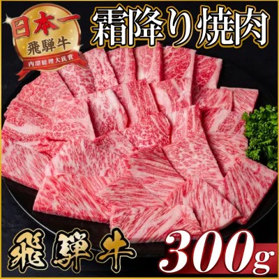 【訳あり】飛騨牛 霜降り焼肉 約300g