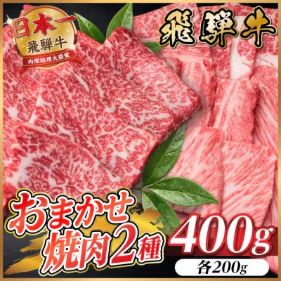 飛騨牛　おまかせ焼肉2種セット約400g(各約200g) 訳あり
