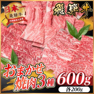 飛騨牛　おまかせ焼肉3種セット約600g(各約200g)訳あり