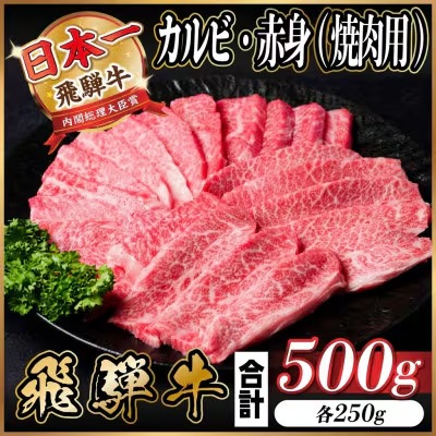 飛騨牛 カルビ・赤身(焼肉用)500g