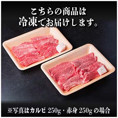 飛騨牛 カルビ・赤身(焼肉用)500g