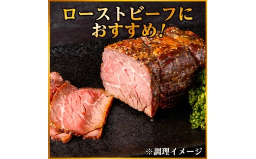 飛騨牛 トウガラシブロック 約500g ローストビーフやステーキ、焼肉、BBQにおすすめの赤身