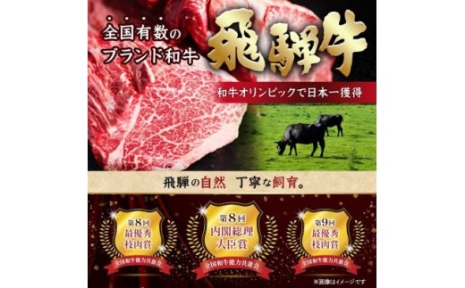 飛騨牛 トウガラシブロック 約500g ローストビーフやステーキ、焼肉、BBQにおすすめの赤身