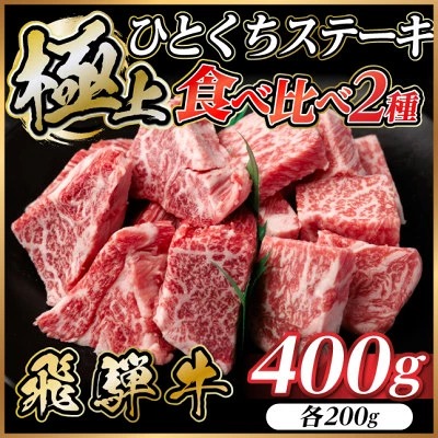 飛騨牛 ひとくちステーキ 食べ比べ2種 約400g(各約200g) 焼肉・BBQ用 サーロイン・ヒレ