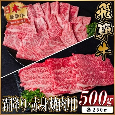 飛騨牛　厳選霜降り・赤身(焼肉・BBQ用)500g　訳あり