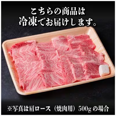 飛騨牛　厳選霜降り・赤身(焼肉・BBQ用)500g　訳あり