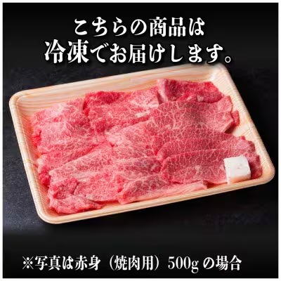 飛騨牛　厳選霜降り・赤身(焼肉・BBQ用)500g　訳あり