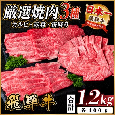 飛騨牛 焼肉3種(カルビ・赤身・霜降り) 計1.2kg