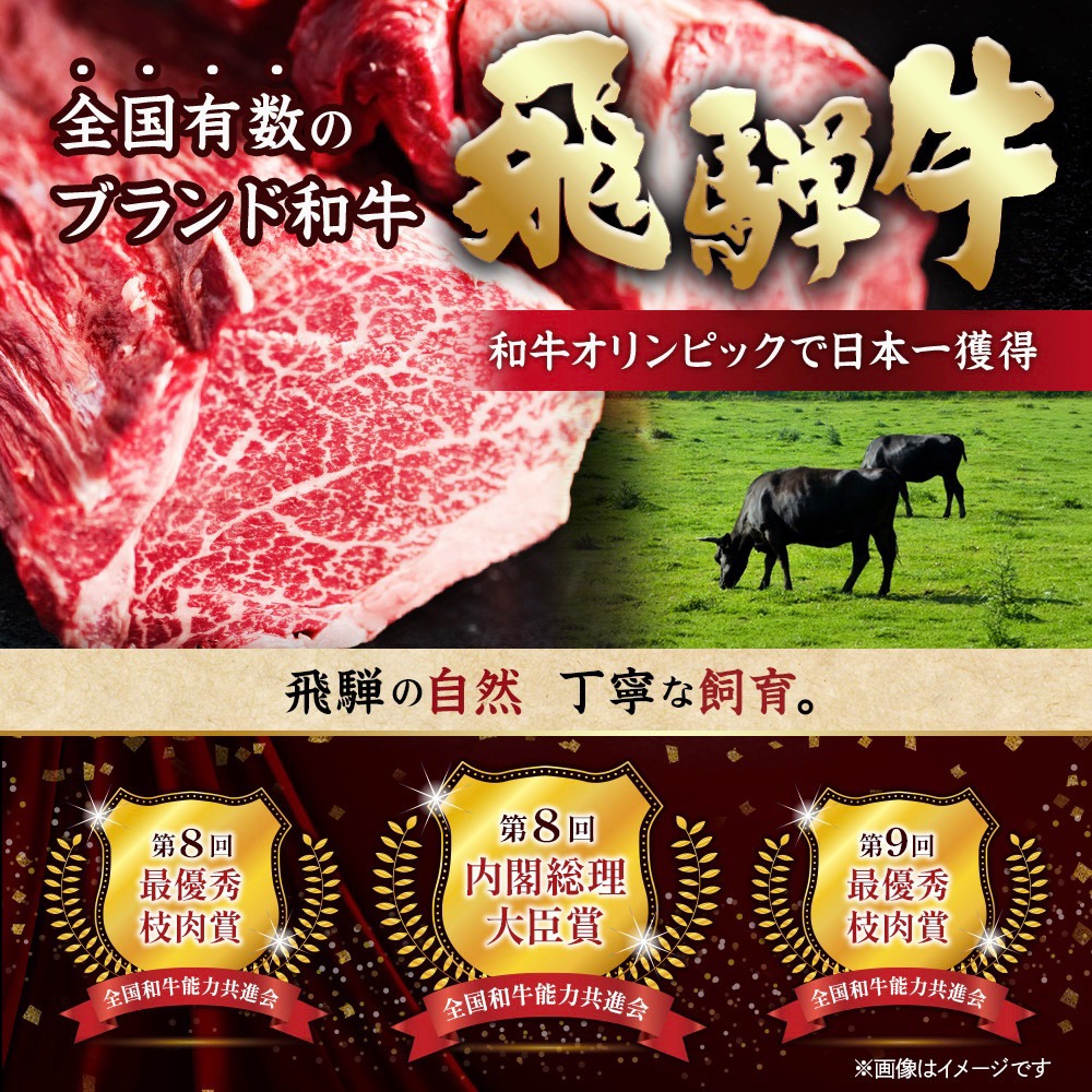 飛騨牛 赤身(焼肉用) 500g