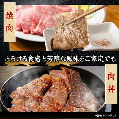 飛騨牛 赤身(焼肉用) 500g