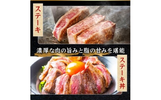 飛騨牛 特上サーロインステーキ 500g