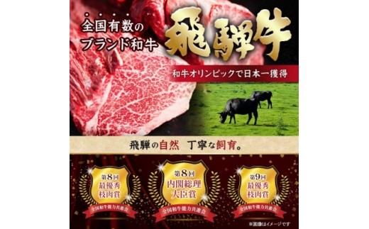 飛騨牛 特上サーロインステーキ 500g
