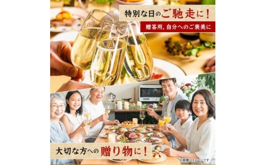 飛騨牛 特上サーロインステーキ 500g