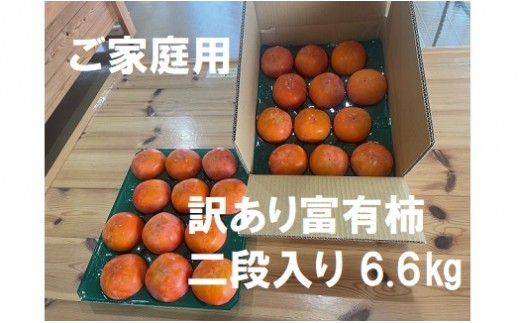 【訳あり】 精華園の家庭用 富有柿 約6.6kg【2026年12月上旬～12月下旬迄発送予定】柿 かき 果物 フルーツ 旬の果物 旬 新鮮