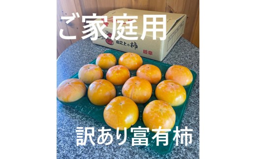 【訳あり】 精華園の家庭用 富有柿 約3.3kg【2026年12月上旬～12月下旬迄発送予定】柿 かき 果物 フルーツ 旬の果物 旬 新鮮