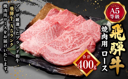 飛騨牛 A5 等級 焼肉 用 ( ロース 400g) | 肉のかた山 牛肉 牛 肉 焼き肉 和牛 黒毛和牛 国産 M22S38
