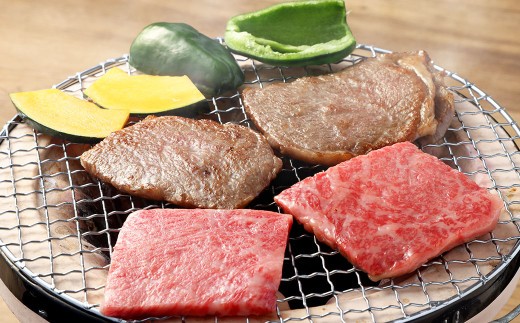 飛騨牛 A5 等級 焼肉 用 ( ロース 400g) | 肉のかた山 牛肉 牛 肉 焼き肉 和牛 黒毛和牛 国産 M22S38