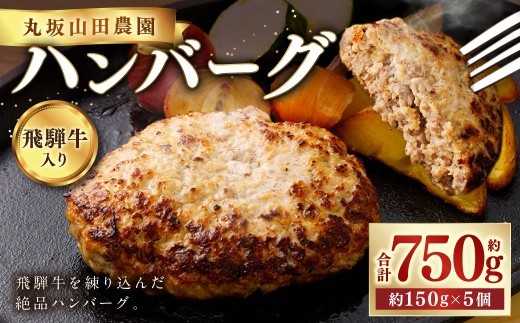 飛騨牛入り ハンバーグ 5個