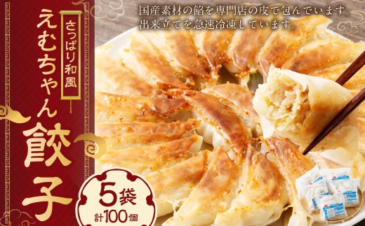 冷凍 餃子5袋 えむちゃん5袋 全100個