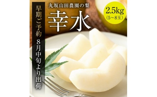 山之上 梨 1箱