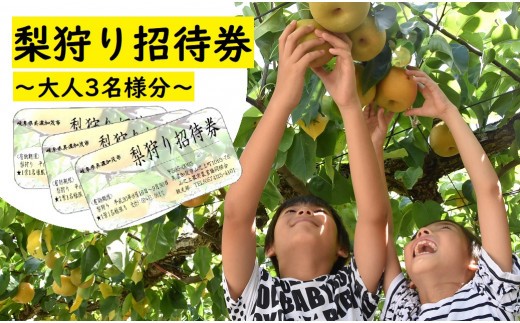 梨狩り 招待券 大人3名分 山之上果実農業協同組合