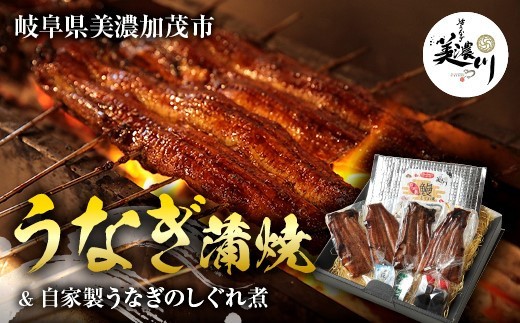 うなぎ 蒲焼 2尾 と自家製 うなぎ の しぐれ煮 100gのセット ｜国産 鰻 かば焼き しぐれ しぐれ煮 たれ 山椒 わさび 付き セット 冷凍 小分け 美濃川
