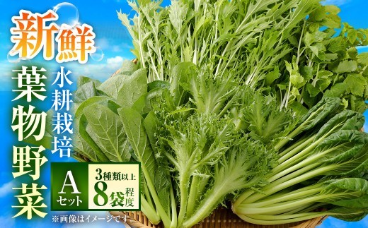 水耕 栽培 新鮮 葉物 野菜 Aセット GreensFarm