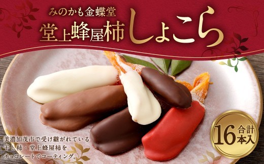みのかも金蝶堂 堂上蜂屋柿しょこら 16個