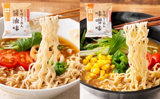 有機らーめん ＆ ベジタリアン の ラーメン 計20食 セット （ 4種 各5食 ） | わらべ村 インスタント 麺 袋麺 即席 即席麺 しょうゆ みそ 保存食