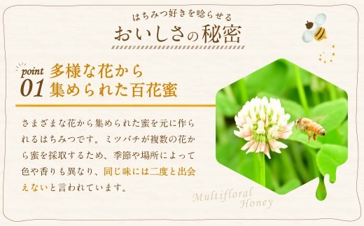【2026年度はちみつ】MINOKAMO HONEY はちみつ 1本(300g×1)合計300g 国産 無添加 純粋 100%天然 百花蜜 蜂蜜 ハチミツ ハニー 保存食 ギフト 藤井養蜂 美濃加茂市