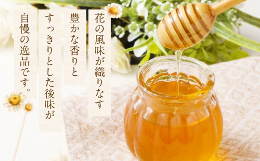 【2026年度はちみつ】MINOKAMO HONEY はちみつ 2本（300g×2）合計600g 国産 無添加 純粋 100％天然 百花蜜 蜂蜜 ハチミツ ハニー 保存食 ギフト 藤井養蜂 美濃加茂市