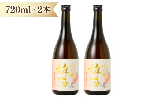 御代櫻  梅酒  大吟醸 仕込み  720ml  2本セット | 御代桜醸造 酒 お酒 アルコール