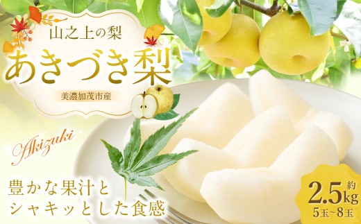 《先行予約》 「山之上果実農業協同組合」 山之上の梨 あきづき梨 1箱 約 2.5kg 5-8玉 梨 なし ナシ フルーツ 果物 旬 【2026年9月上旬-10月上旬 発送予定】