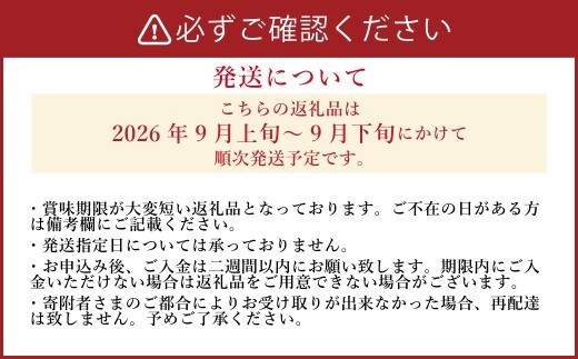 《先行予約》 「山之上果実農業協同組合」 山之上の梨 あきづき梨 1箱 約 2.5kg 5-8玉 梨 なし ナシ フルーツ 果物 旬 【2026年9月上旬-10月上旬 発送予定】