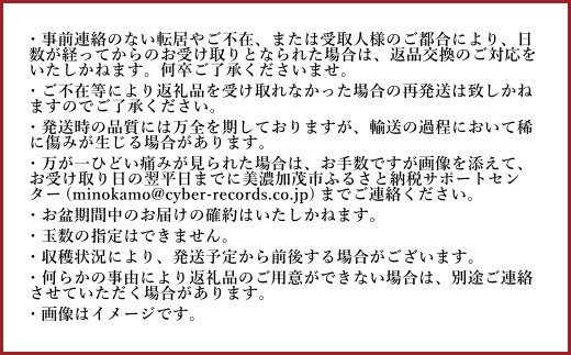 《先行予約》 「山之上果実農業協同組合」 山之上の梨 あきづき梨 1箱 約 2.5kg 5-8玉 梨 なし ナシ フルーツ 果物 旬 【2026年9月上旬-10月上旬 発送予定】