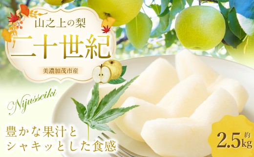 《先行予約》 「山之上果実農業協同組合」 山之上の梨 二十世紀 1箱 約2.5kg 梨 なし ナシ 果物 フルーツ 旬 【2026年9月上旬-10月上旬 発送予定】
