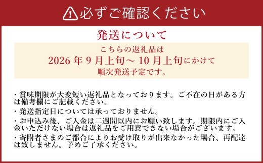 《先行予約》 「山之上果実農業協同組合」 山之上の梨 二十世紀 1箱 約2.5kg 梨 なし ナシ 果物 フルーツ 旬 【2026年9月上旬-10月上旬 発送予定】