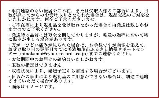 《先行予約》 「山之上果実農業協同組合」 山之上の梨 二十世紀 1箱 約2.5kg 梨 なし ナシ 果物 フルーツ 旬 【2026年9月上旬-10月上旬 発送予定】