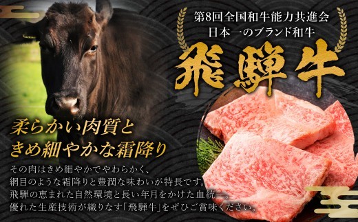 飛騨牛 A5等級 サーロイン ステーキ 約80g×10枚 （合計約800g） カット済み お肉 牛肉 肉 ステーキ 和牛 霜降り 冷凍 焼き肉 焼肉 BBQ 国産 岐阜県 美濃加茂市