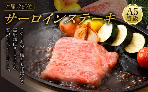 飛騨牛 A5等級 サーロイン ステーキ 約80g×10枚 （合計約800g） カット済み お肉 牛肉 肉 ステーキ 和牛 霜降り 冷凍 焼き肉 焼肉 BBQ 国産 岐阜県 美濃加茂市